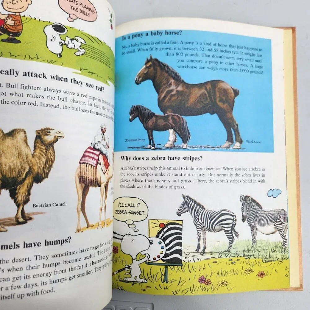 Charlie Brown's Cyclopeida Snoopy Encyclopedia Stars Planets Animals Dinosaurs V